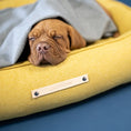 Indlæs billede i gallerifremviser, Labbvenn Hundeseng Møvik Bed Honning - MyDreamPet
