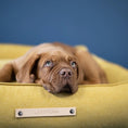 Indlæs billede i gallerifremviser, Labbvenn Hundeseng Møvik Bed Honning - MyDreamPet