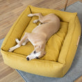 Indlæs billede i gallerifremviser, Labbvenn Hundeseng Møvik Bed Honning - MyDreamPet