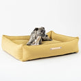 Indlæs billede i gallerifremviser, Labbvenn Hundeseng Møvik Bed Honning - MyDreamPet