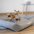 Indlæs billede i gallerifremviser, Labbvenn Hundeseng Møvik Bed Lys Grå - MyDreamPet