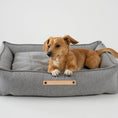 Indlæs billede i gallerifremviser, Labbvenn Hundeseng Møvik Bed Lys Grå - MyDreamPet