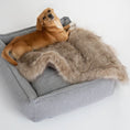Indlæs billede i gallerifremviser, Labbvenn Hundeseng Møvik Bed Lys Grå - MyDreamPet