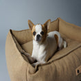 Indlæs billede i gallerifremviser, Labbvenn Hundeseng Møvik Bed Mørk Grå - MyDreamPet