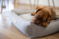Indlæs billede i gallerifremviser, Labbvenn Hundeseng Møvik Bed Mørk Grå - MyDreamPet