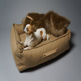 Indlæs billede i gallerifremviser, Labbvenn Hundeseng Møvik Bed Mørk Grå - MyDreamPet