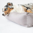 Indlæs billede i gallerifremviser, Labbvenn Hundeseng Töve Bed Nød - MyDreamPet