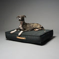 Indlæs billede i gallerifremviser, Labbvennn Hundepude Töve Pillow Anthracite - MyDreamPet