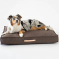 Indlæs billede i gallerifremviser, Labbvennn Hundepude Töve Pillow Brun - MyDreamPet
