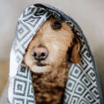 Indlæs billede i gallerifremviser, Linaa Hunde Håndklæde Absorberende - Labbvenn - MyDreamPet