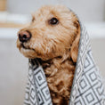 Indlæs billede i gallerifremviser, Linaa Hunde Håndklæde Absorberende - Labbvenn - MyDreamPet