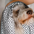 Indlæs billede i gallerifremviser, Linaa Hunde Håndklæde Absorberende - Labbvenn - MyDreamPet
