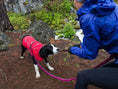 Indlæs billede i gallerifremviser, Ruffwear Aira Regnfrakke - Rød - MyDreamPet