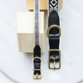 Indlæs billede i gallerifremviser, SeeScoutSleep Hundehalsbånd Out of My Box - Cream & Black Leather XXL - MyDreamPet
