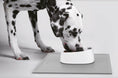 Indlæs billede i gallerifremviser, Silikone Måtte PETKIT - MyDreamPet