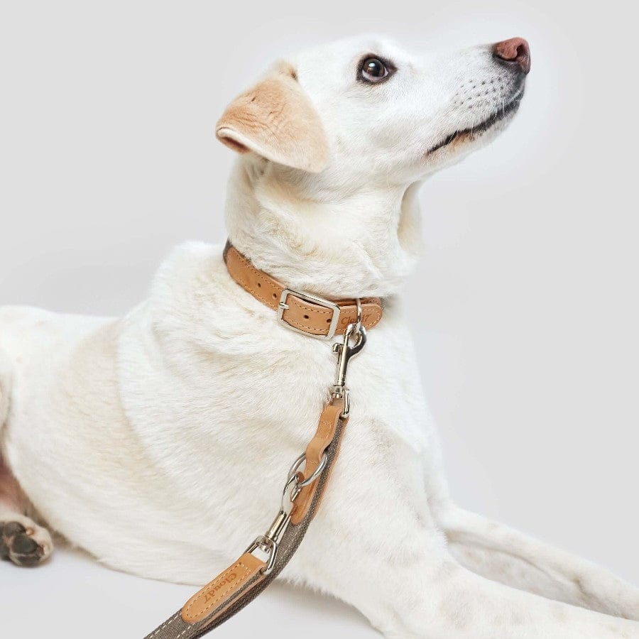 Cloud7 Hundesnor Læder Tivoli Grå - MyDreamPet Dyrehandel