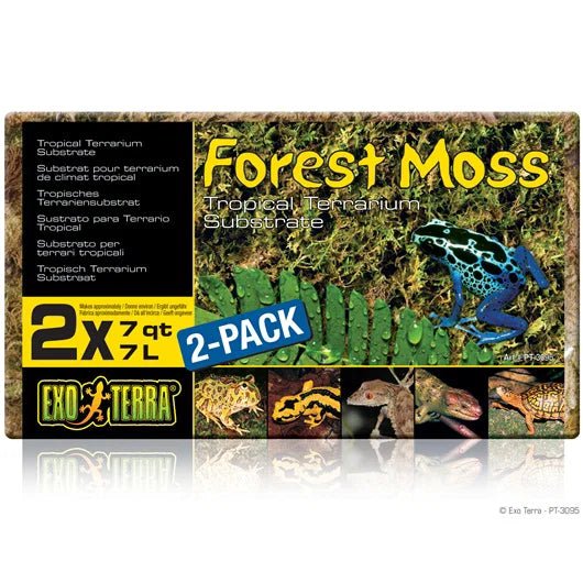 Exo Terra Forest Moss - MyDreamPet Dyrehandel