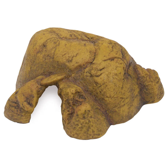 ExoTerra Hule, Medium - MyDreamPet Dyrehandel