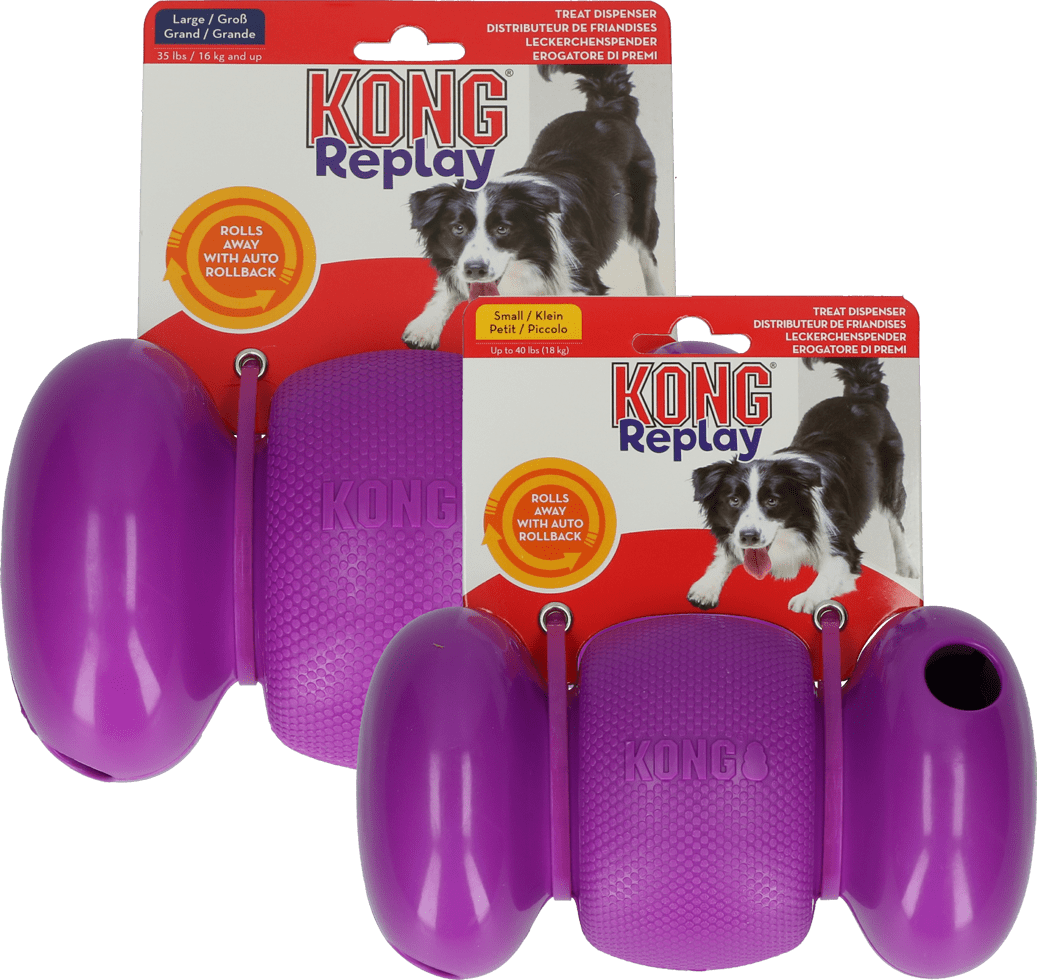 Kong RePlay Lg - MyDreamPet Dyrehandel
