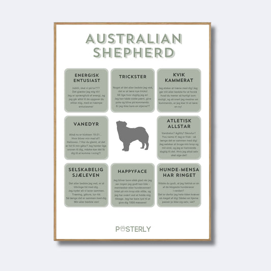 Australian Shepherd - Hundeplakat - MyDreamPet