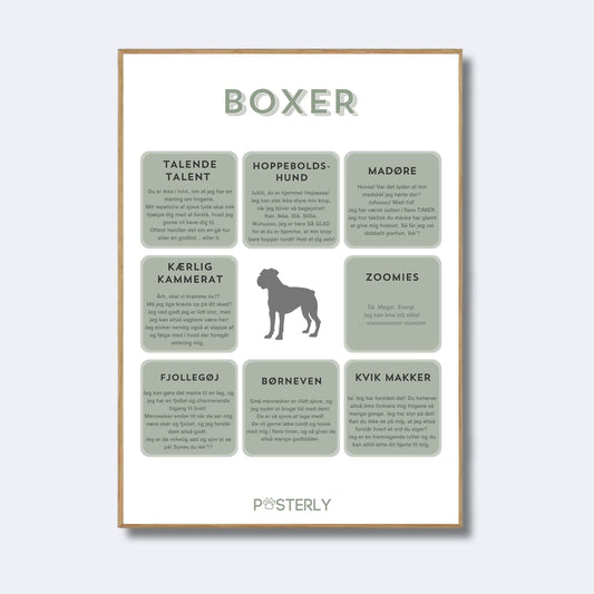 Boxer - Hundeplakat - MyDreamPet