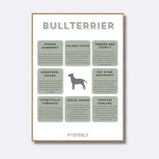 Bullterrier - Hundeplakat - MyDreamPet