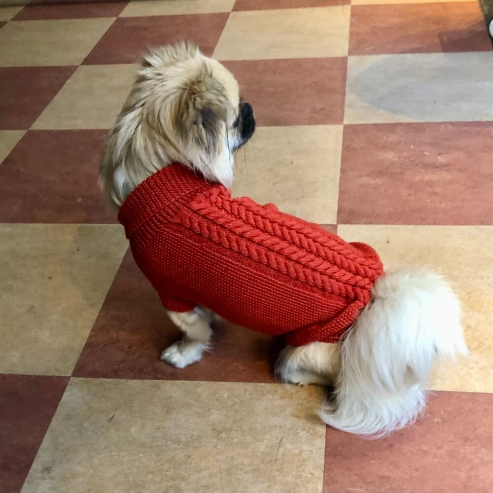Calimar Hunde Sweater Brændt Orange - MyDreamPet