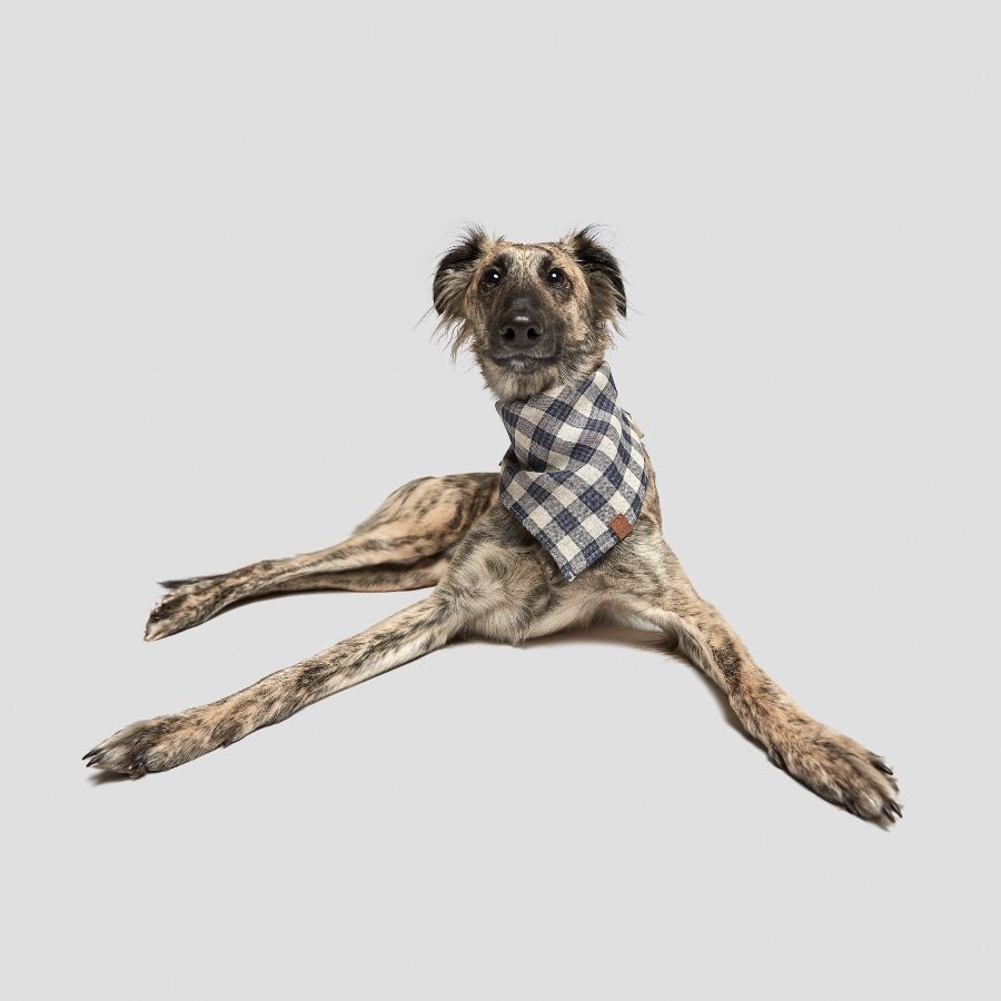 Cloud7 Bandana Hund Mørkeblå - Beige - MyDreamPet