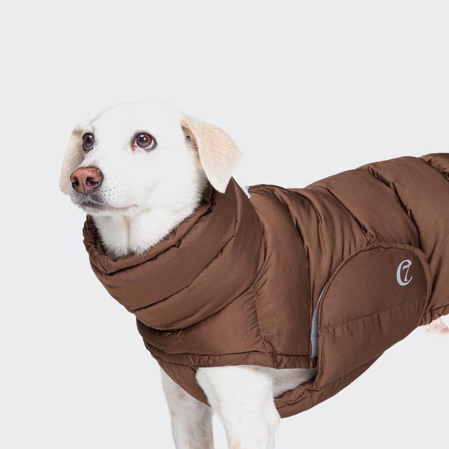 Cloud 7 sales dog coat