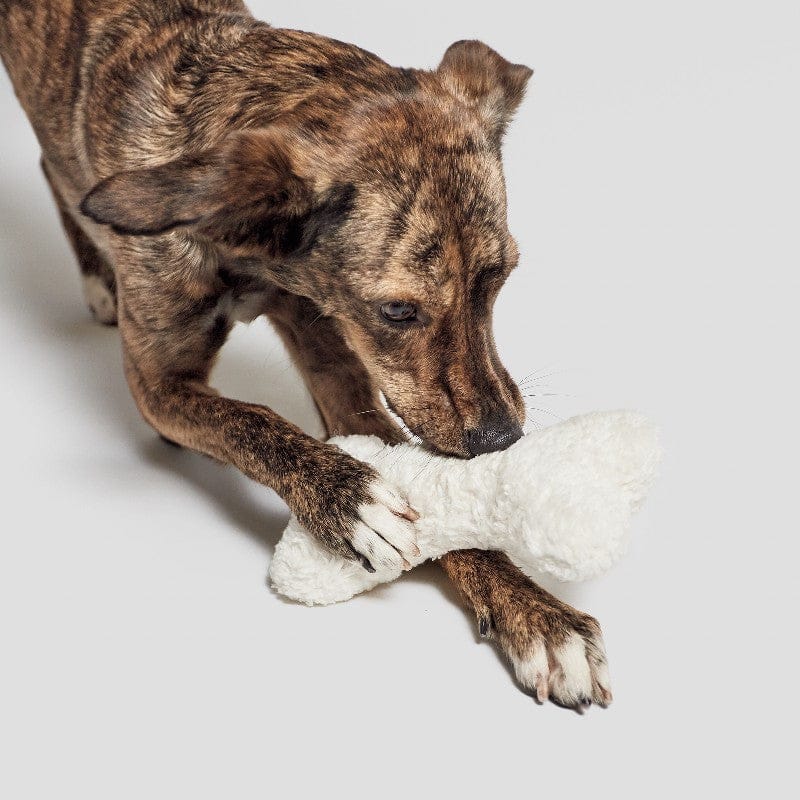 Cloud7 Hundelegetøj Bone White Plush - MyDreamPet