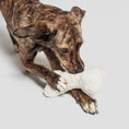 Load image into Gallery viewer, Cloud7 Hundelegetøj Bone White Plush - MyDreamPet
