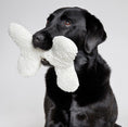 Load image into Gallery viewer, Cloud7 Hundelegetøj Bone White Plush - MyDreamPet
