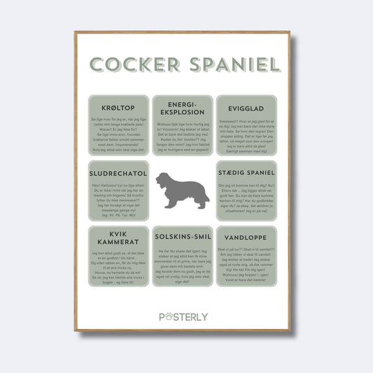 Cocker Spaniel - Hundeplakat - MyDreamPet