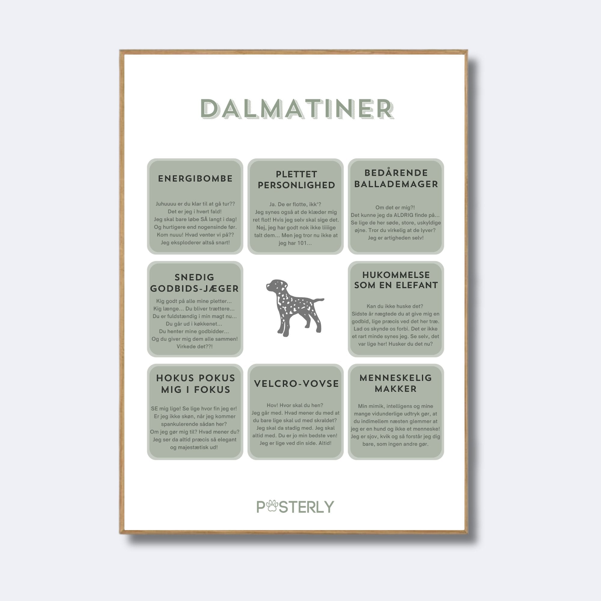 Dalmatiner - Hundeplakat - MyDreamPet