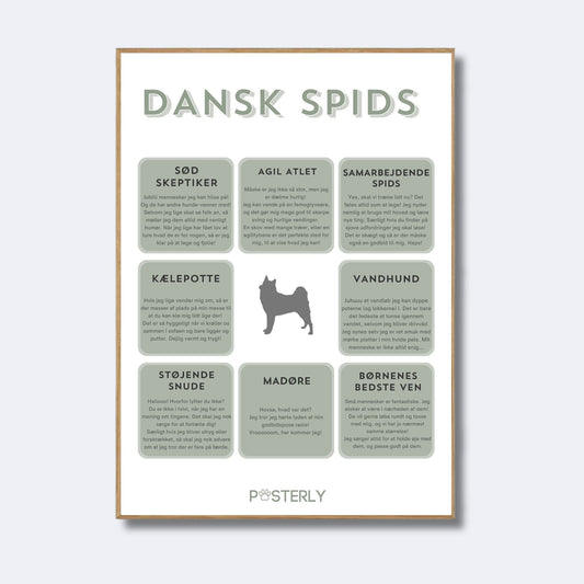 Dansk Spids - Hundeplakat - MyDreamPet