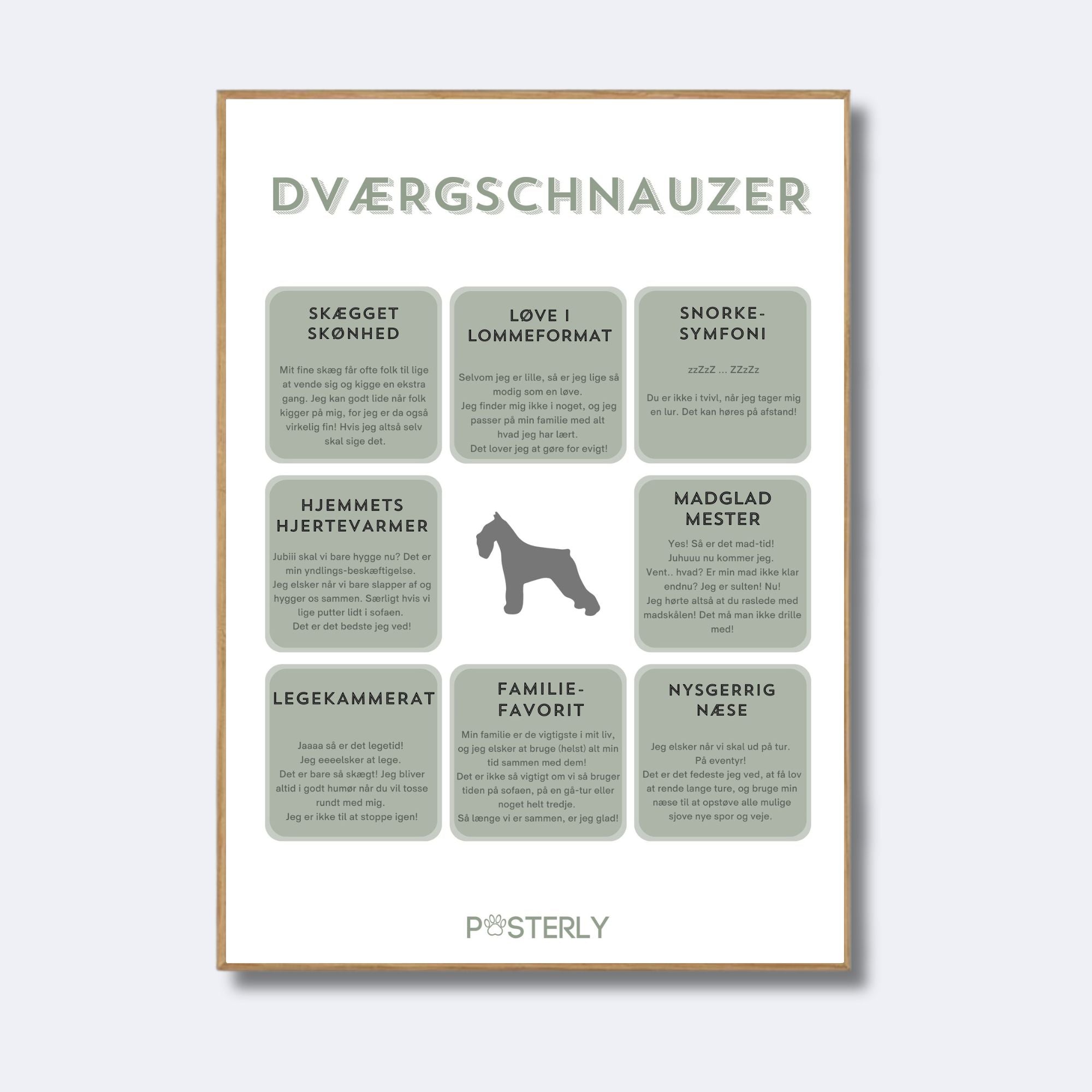 Dværgschnauzer - Hundeplakat - MyDreamPet