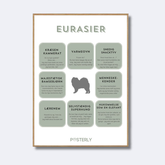 Eurasier - Hundeplakat - MyDreamPet