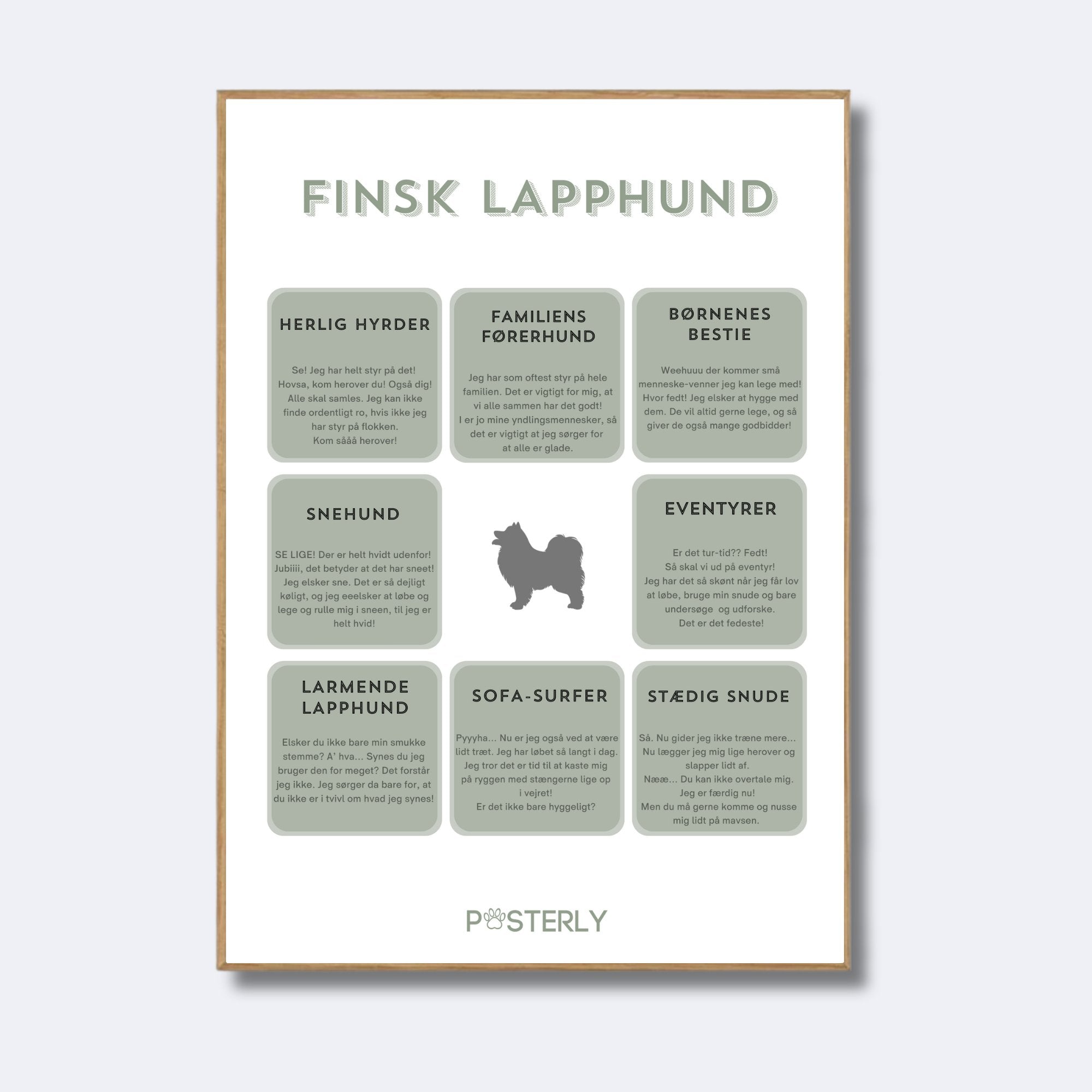 Finsk Lapphund- Hundeplakat - MyDreamPet