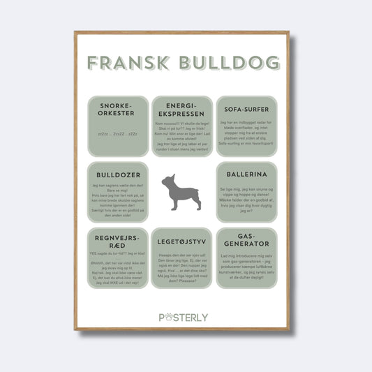 Fransk Bulldog - Hundeplakat - MyDreamPet