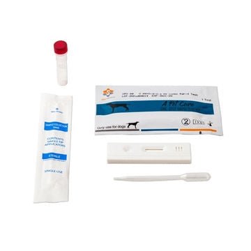 Giardia Antigen Rapid Hjemme test sæt - 1 STK - MyDreamPet