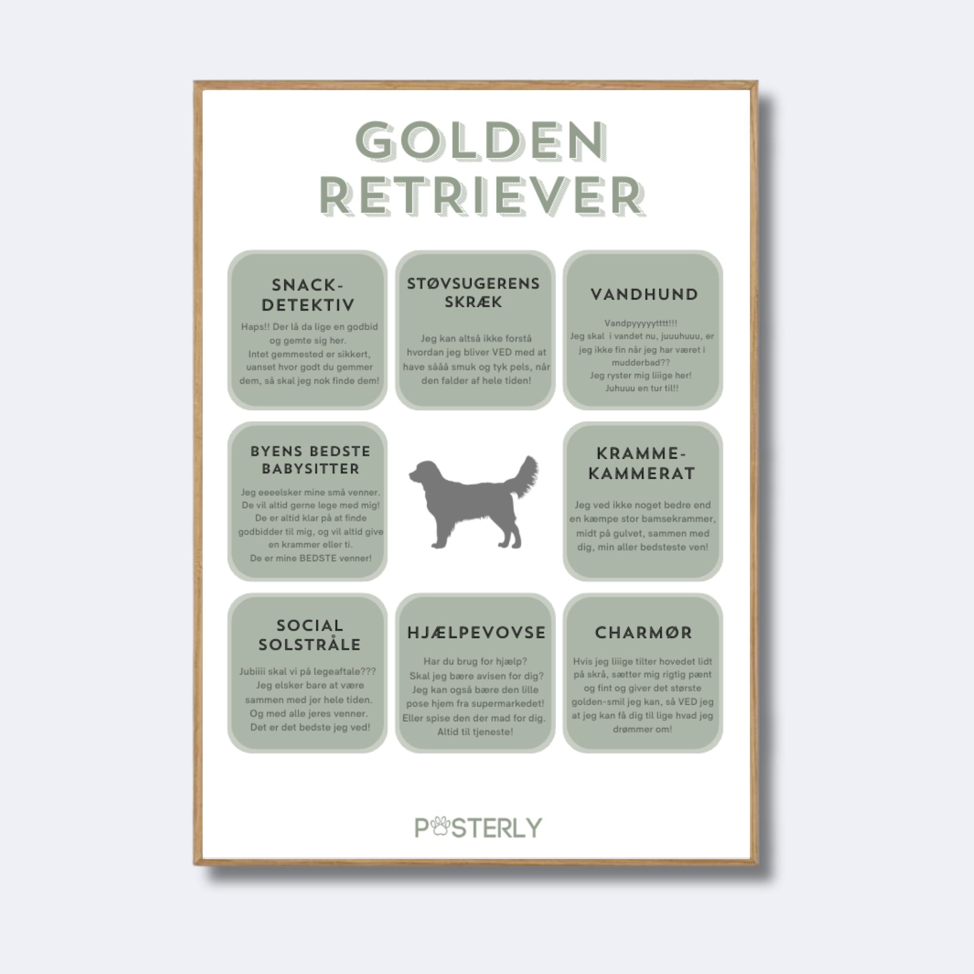 Golden Retriever - Hundeplakat - MyDreamPet