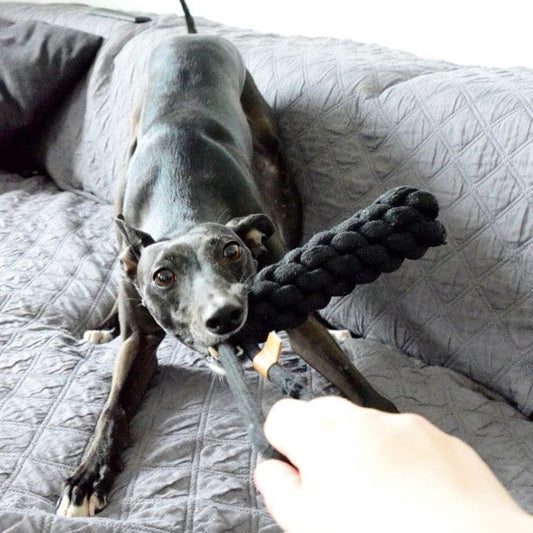 Hundelegetøj Sort Dummy 100% Bomuld - MyDreamPet