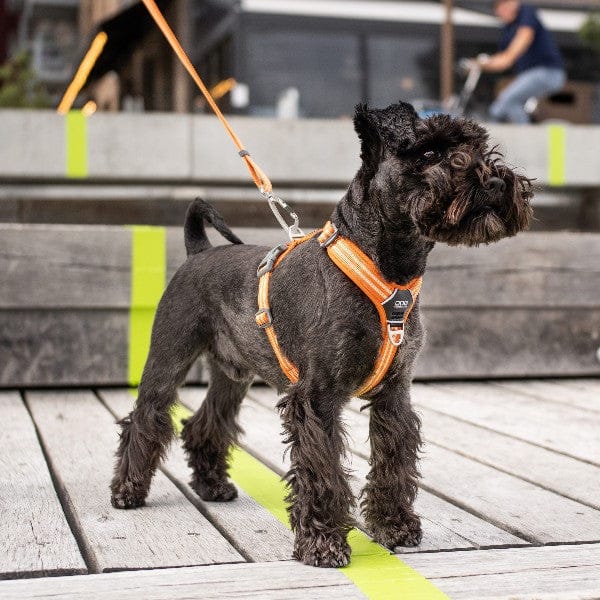 Hundesele DogCopenhagen Comfort Walk Air™ Sele Mocca - MyDreamPet
