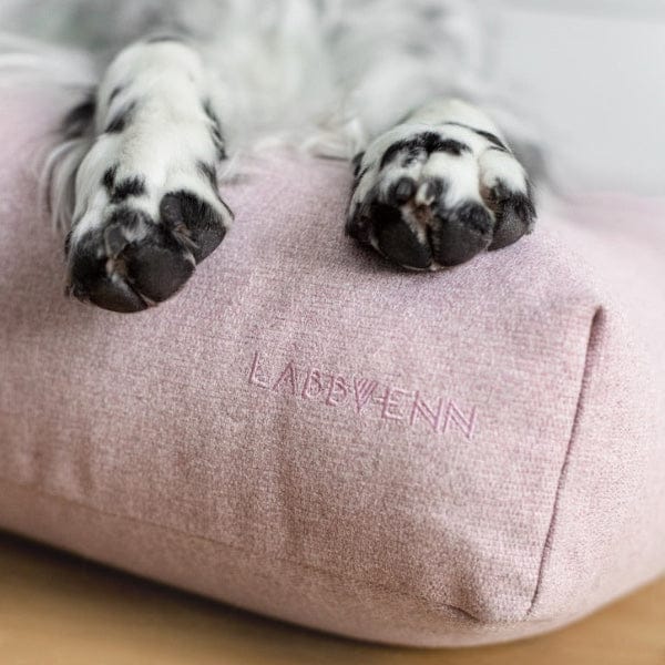 Labbvenn Hundepude Finno Rose - MyDreamPet