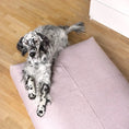 Load image into Gallery viewer, Labbvenn Hundepude Finno Rose - MyDreamPet
