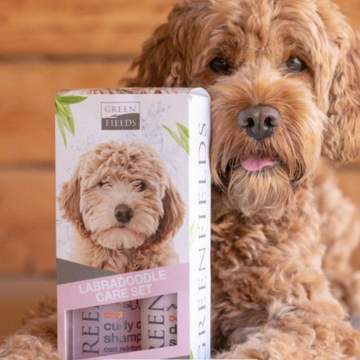 Labradoodle shampoo og tørshampoo plejesæt 2x250ml - MyDreamPet