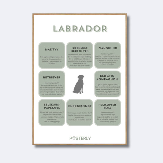 Labrador - Hundeplakat - MyDreamPet