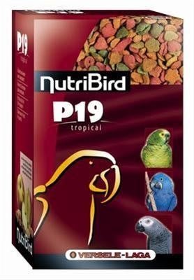 Nutribird P19 Tropical - 10kg - MyDreamPet
